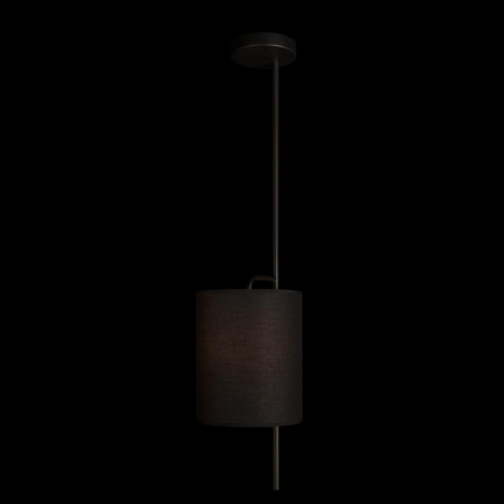 Светильник на штанге Loft it Ritz 10253P Black 