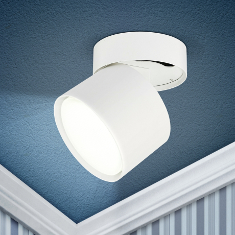 Светильник на штанге Эра OL12 GX53 SWH Б0049035 