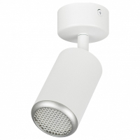 Спот Эра  OL55 WH/SL