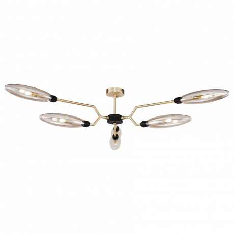 Накладной светильник Maytoni Ventura MOD012CL-06G 